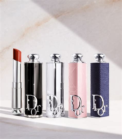 dior lipstick case 2024|Dior lipstick collection case.